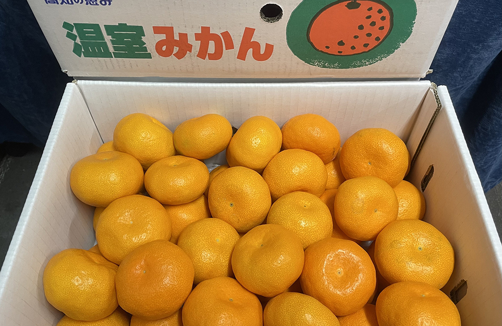 今の旬