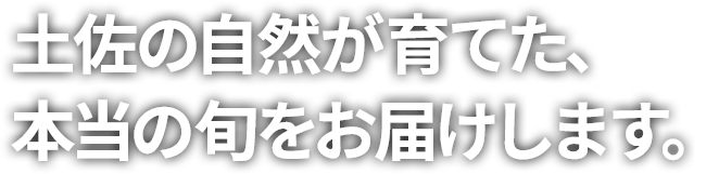 有限会社青果の坂井