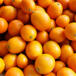 年間スケジュール