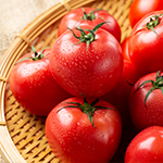 年間スケジュール