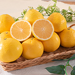 年間スケジュール