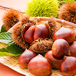 年間スケジュール